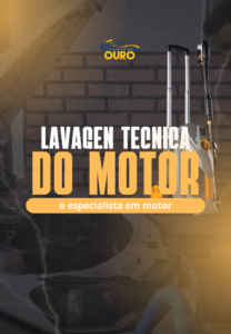 lavagem técnica do motor