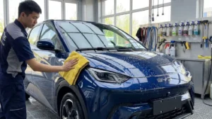 Pacote de Detailing para Carro Elétrico: Como Montar, Precificar e Vender
